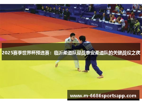 2025赛季世界杯预选赛：临沂柔道队迎战泰安柔道队的关键战役之夜