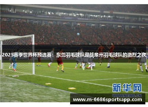 2025赛季世界杯预选赛：东莞羽毛球队迎战泉州羽毛球队的激烈之夜